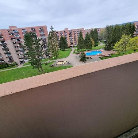 Ferienwohnung Altenau Im Harz, Hunde Altenau (Lower-Saxony) Exterior foto