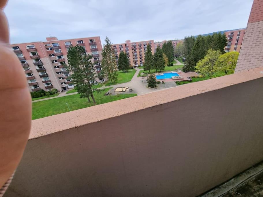 Ferienwohnung Altenau Im Harz, Hunde Altenau (Lower-Saxony) Exterior foto
